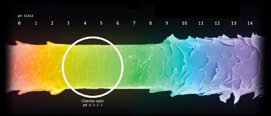 Etat de santé de la fibre capillaire selon le pH